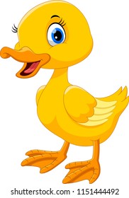 Cute duck cartoon 