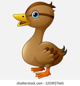 Cute duck cartoon