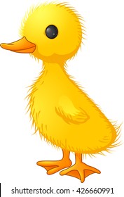 Cute duck cartoon