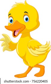 Cute Duck Cartoon 