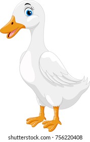 Cute duck cartoon