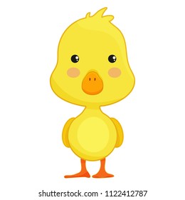Cute duck cartoon isolated on white background eps10