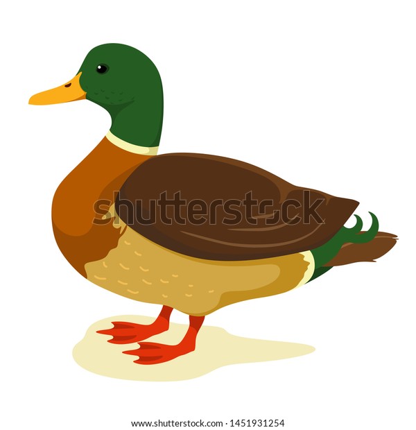 Cute Duck Cartoon Style Vector Illustration Stock Vector (Royalty Free ...