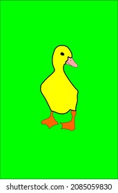 Cute duck in a light green background