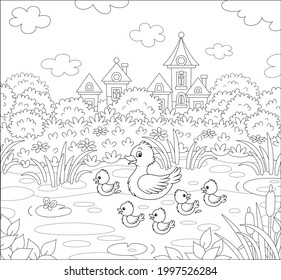 Cute duck and a merry brood of little ducklings on a pretty pond near a small village on a summer day, black and white outline vector cartoon illustration for a coloring book page