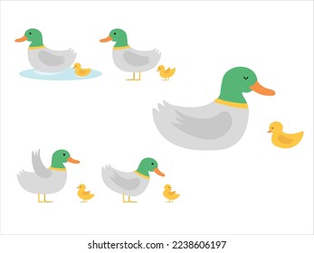 Cute Duck Mother and Child