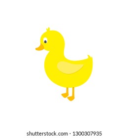 Cute duck on white background. Vector illustration.