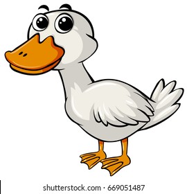 Cute duck on white background