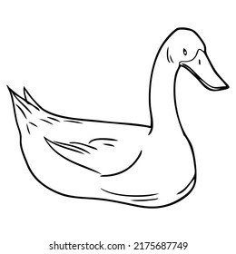 Cute Duck Outline Illustrationisolated On White Stock Vector (Royalty ...