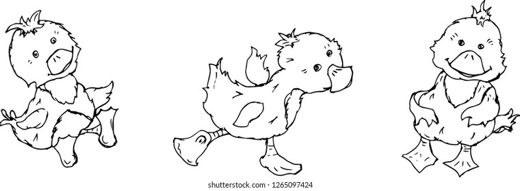 Cute duck. Vector illustration.
