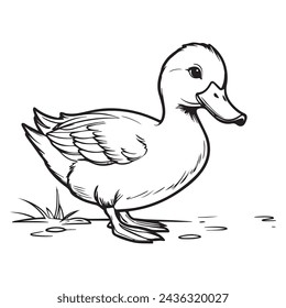 Cute  duck vector illustration for children colouring page