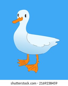 Cute duck vector illustration. Domestics bird isolated on blue background.