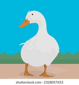 cute duck vector illustration. duck on the front view.  