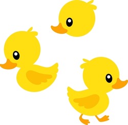 Cute Duck Vector Set With Transparent Background