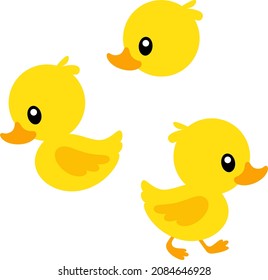 Cute Duck Vector Set with Transparent Background