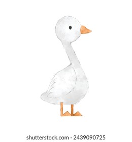 Cute duck watercolor isolated on white background. Vector illustration for greeting cards, printing and other.