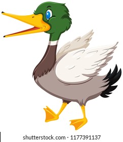 Cute duck white background illustration