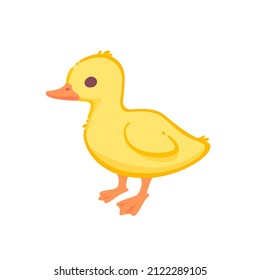 Cute duckling. Contour vector illustration.