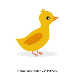 Cute duckling in flat style isolated on white background Eps 10