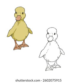 cute duckling isolated on white background. Detailed. Coloring. Easy to edit. Vector illustration