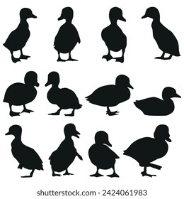 Cute duckling silhouette collection different poses