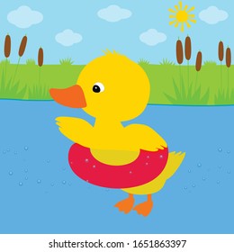 Cute duckling swims in the pond vector landscape
