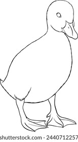 Cute duckling, vector outline illustration in ink realistic style