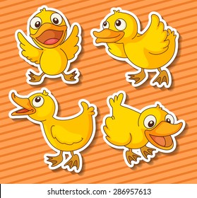 Cute ducklings in four different positions