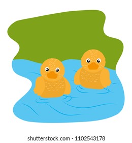 cute ducks animal in the river landscape