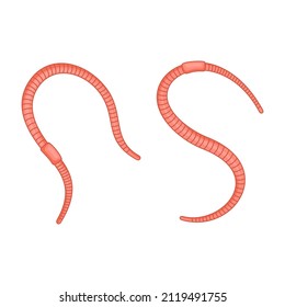 Cute Earthworm Set on White Background. Vector