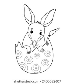 Cute Easter bilby in egg. Australian animal. Linear, outline drawing, coloring book. Kids collection. Vector illustration.