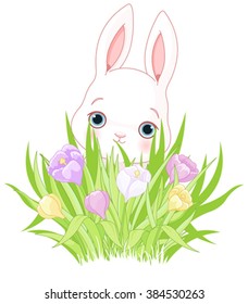 A cute Easter bunny holds crocus bouquet