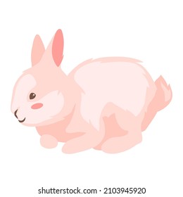 Cute Easter Bunny ilustración. Caricatura de conejo para diseño.