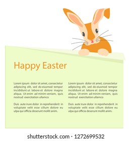 Cute Easter Bunny looks out of a banner. Vector illustration eps