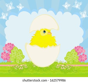 Cute Easter chicken in egg shell 