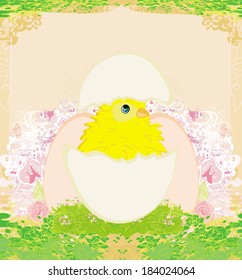 Cute Easter chicken in egg shell 