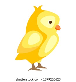 Cute Easter chicken illustration. Cartoon baby bird for traditional celebration.