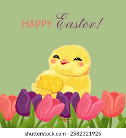 Cute Easter chicken that looks like tulips. Happy Easter greeting card with adorable yellow baby chicken, spring flowers, and festive typography on green background. Vector