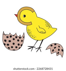 Cute Easter Chicks Vector Illustration on white background