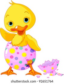 Cute Easter duckling  in the broken Easter Egg.