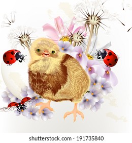 Cute Easter greeting card with chicken and flowers