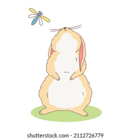 A cute easter rabbit looks up at the sky. Vector illustration of chubby hand drawn bunny with beige fur and white belly. Cartoon style design.
