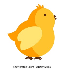 Ilustración de pollo amarillo de Pascua. Caricatura de pollo para diseño.