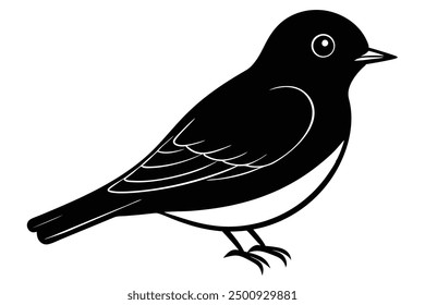 Cute Eastern Bluebird on White Background 