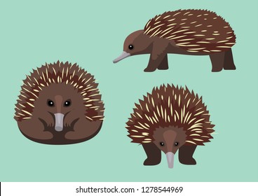 Cute Echidna Cartoon Vector Illustration