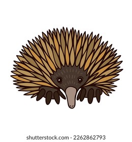 Cute echidna flat color vector illustration on white background. Cute cartoon character for animations and illustration. Animal template