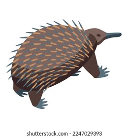 Cute echidna icon isometric vector. Animal nature. Australia animal