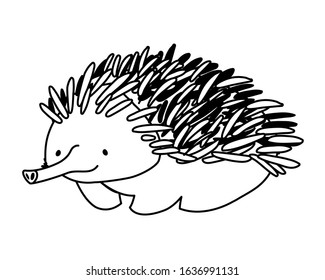 Cute echidna on white background. vector illustration design.