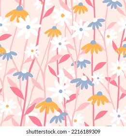 cute echinacea flowers with pink background
