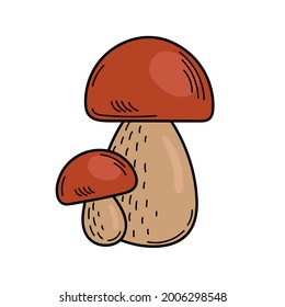 Cute edible mushroom in doodle style. Ingredients for cooking, salads. Autumn plant harvesting. Vector hand illustration